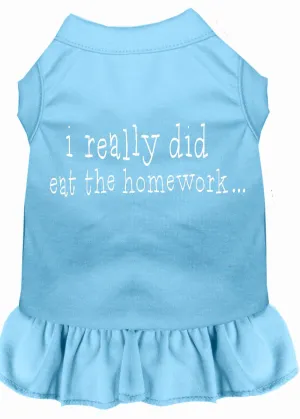 I Really Did Eat The Homework Screen Print Dress Baby Blue Sm (10)